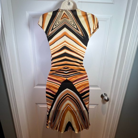 Sky Brand Orange Tiger Dress (S) - Picture 3 of 16